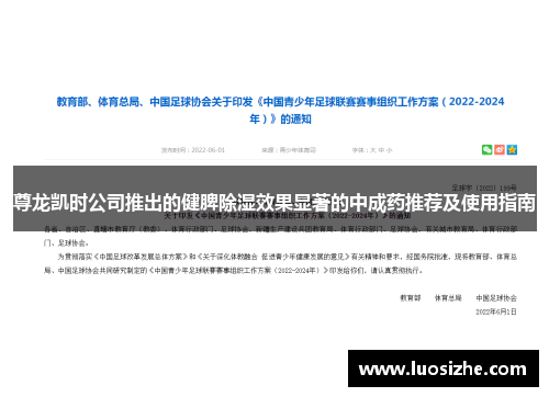 尊龙凯时公司推出的健脾除湿效果显著的中成药推荐及使用指南